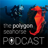 The Polygon Seahorse Podcast